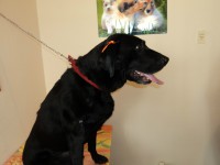 /album/fotos/de-todo-139-jpg/